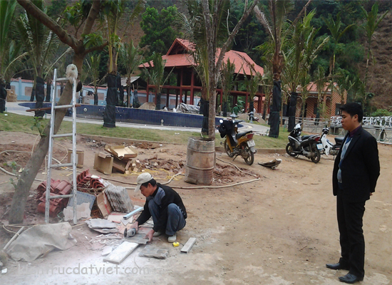 thiết kế phủ hoa phong, biệt thự vườn
